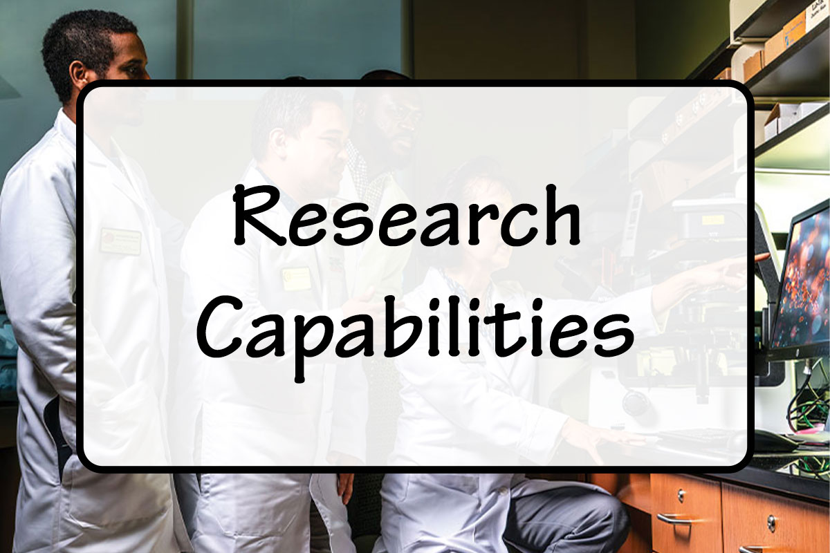 Research Capabilities