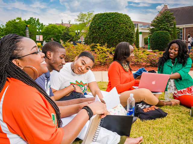 Students sitting on grass studying